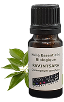 HUILE ESSENTIELLE BIO DE RAVINTSARA 10 ML