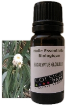 HUILE ESSENTIELLE BIO D'EUCALYPTUS GLOBULUS 10 ML