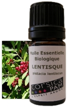 HUILE ESSENTIELLE BIO DE LENTISQUE PISTACHIER 5 ML